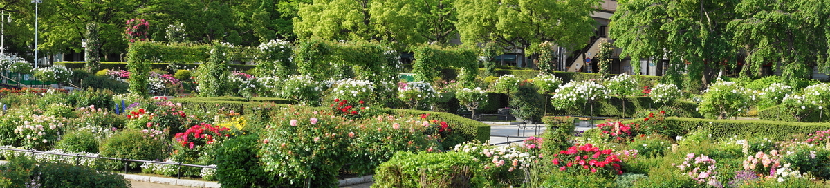 f:id:shigeo-t:20200509110014j:plain