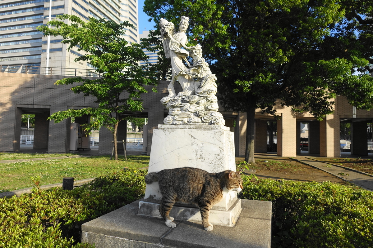 f:id:shigeo-t:20200515095554j:plain f:id:shigeo-t:20200515095554j:plain