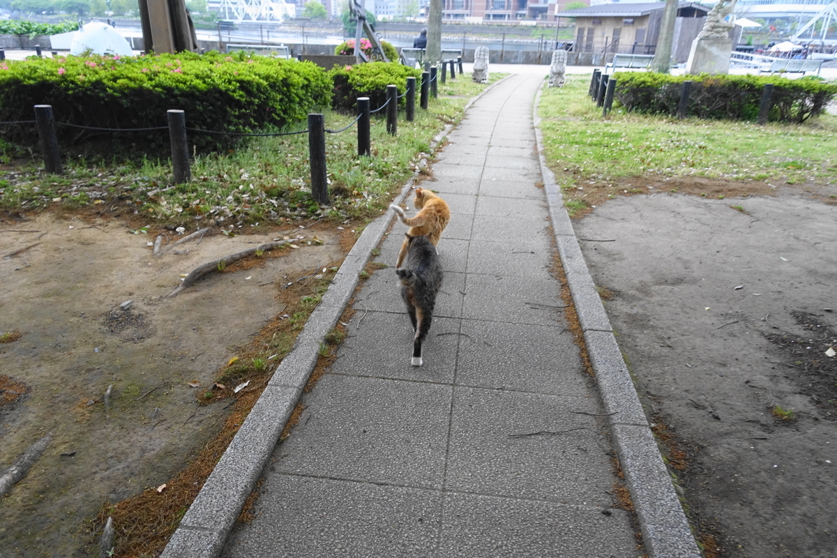 f:id:shigeo-t:20200518101457j:plain