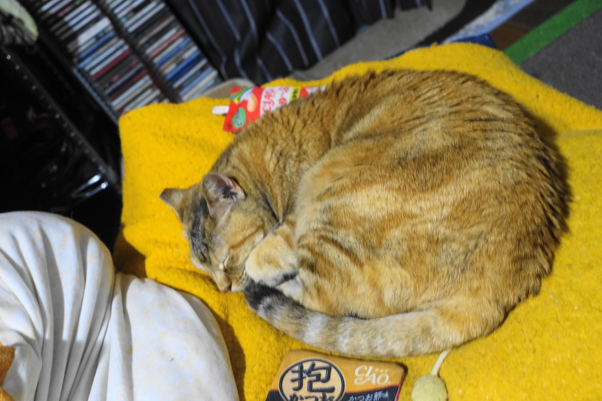 f:id:shigeo-t:20200523101848j:plain
