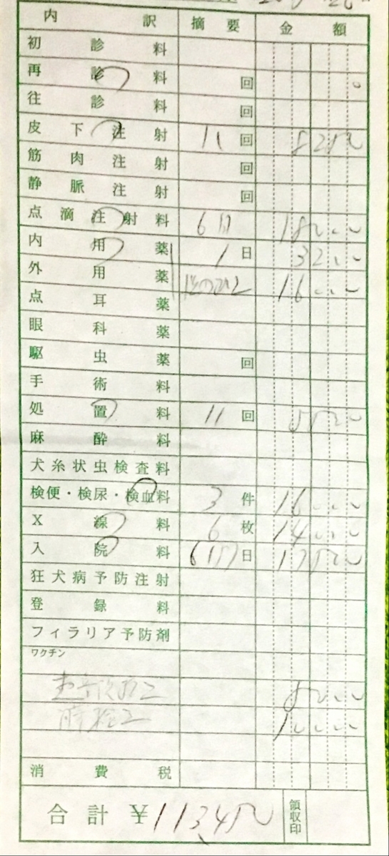 f:id:shigeo-t:20200526202507j:plain f:id:shigeo-t:20200526202507j:plain