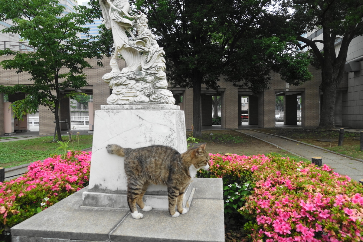 f:id:shigeo-t:20200607101521j:plain f:id:shigeo-t:20200607101521j:plain