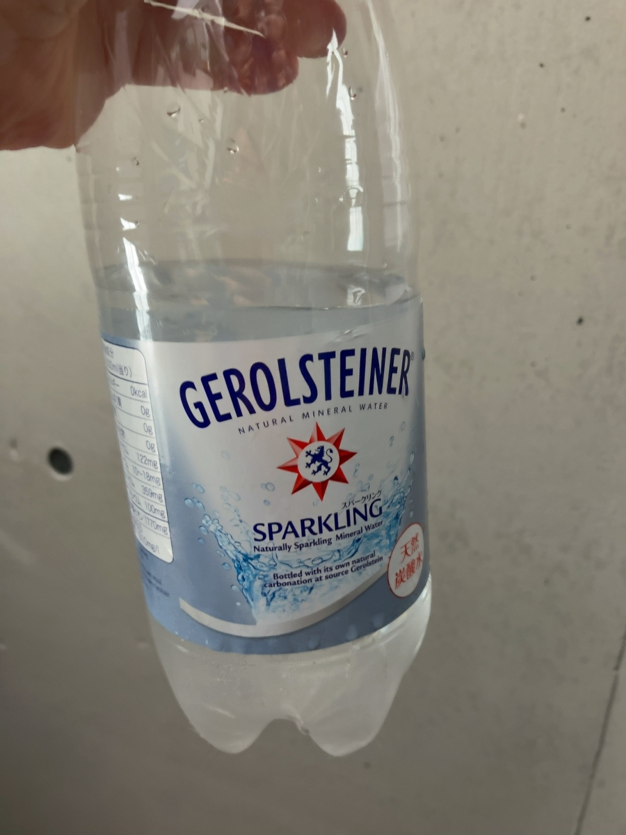 f:id:shigeo-t:20200608100358j:plain