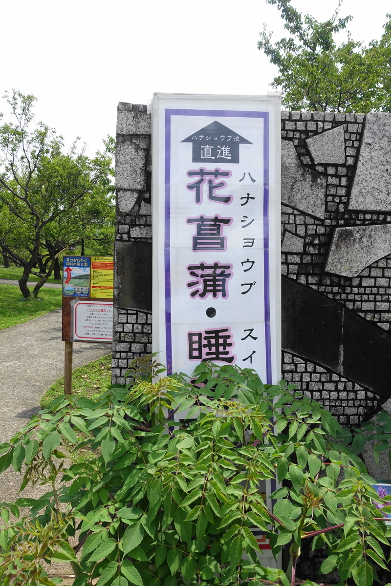 f:id:shigeo-t:20200620141040j:plain f:id:shigeo-t:20200620141040j:plain