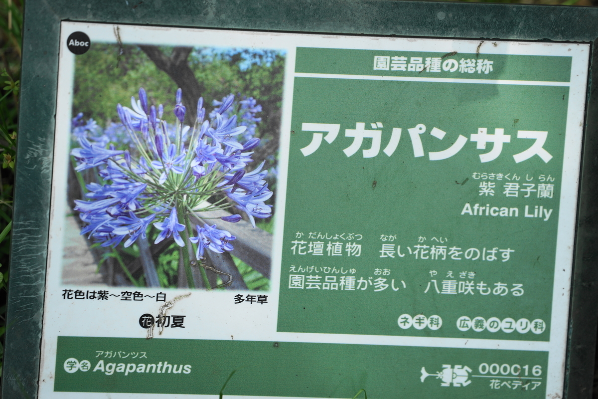 f:id:shigeo-t:20200621112742j:plain