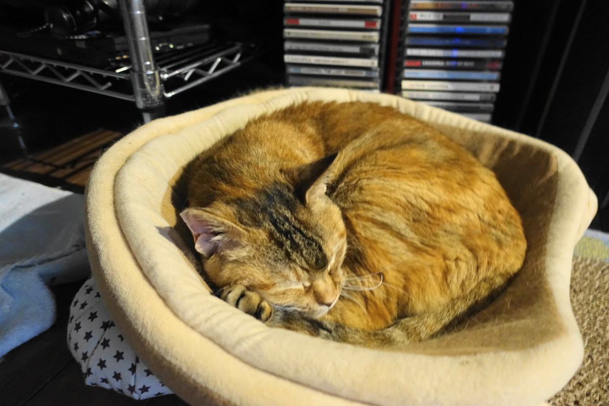 f:id:shigeo-t:20200622100038j:plain f:id:shigeo-t:20200622100038j:plain