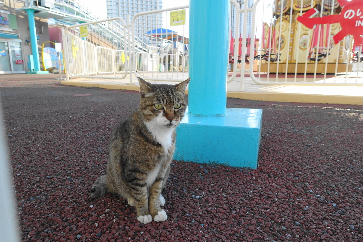 f:id:shigeo-t:20200625093324j:plain f:id:shigeo-t:20200625093324j:plain