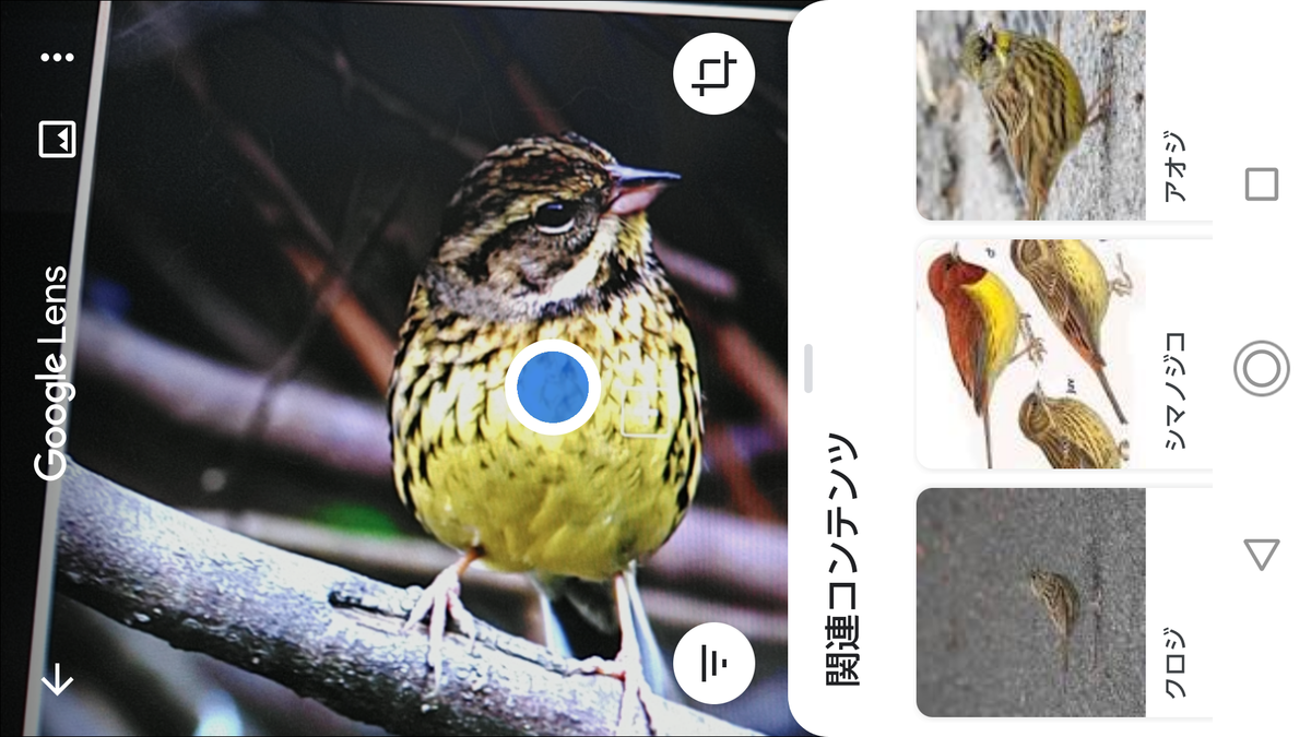 f:id:shigeo-t:20200627095616p:plain f:id:shigeo-t:20200627095616p:plain