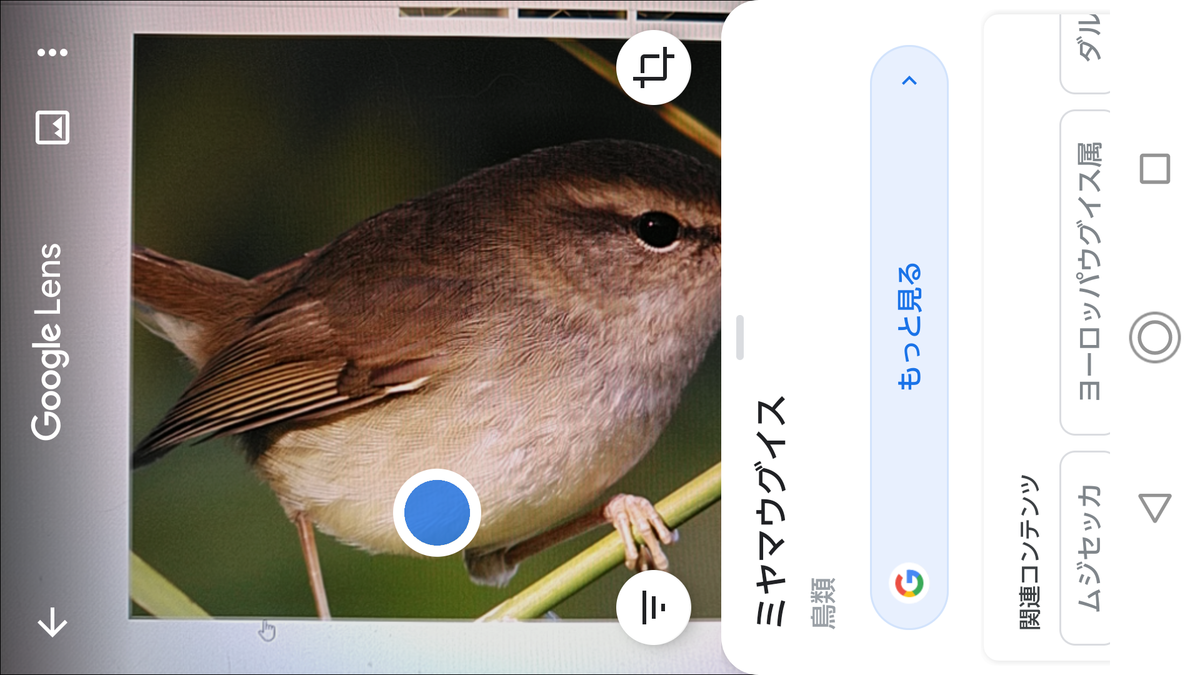 f:id:shigeo-t:20200627095802p:plain f:id:shigeo-t:20200627095802p:plain