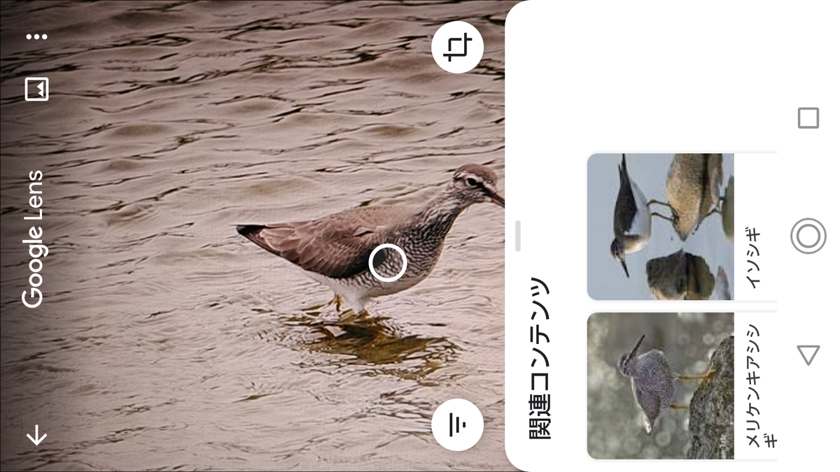 f:id:shigeo-t:20200627095949p:plain f:id:shigeo-t:20200627095949p:plain