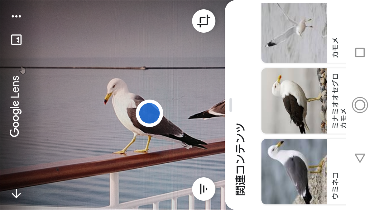 f:id:shigeo-t:20200627100916p:plain f:id:shigeo-t:20200627100916p:plain