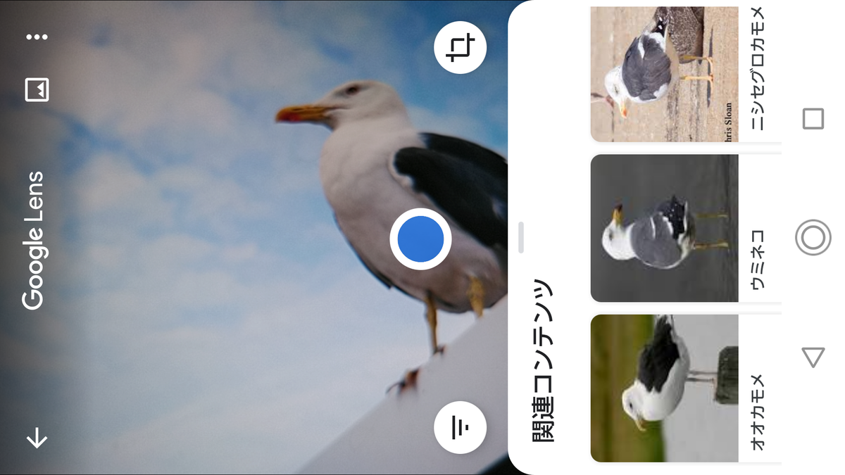 f:id:shigeo-t:20200627101021p:plain f:id:shigeo-t:20200627101021p:plain