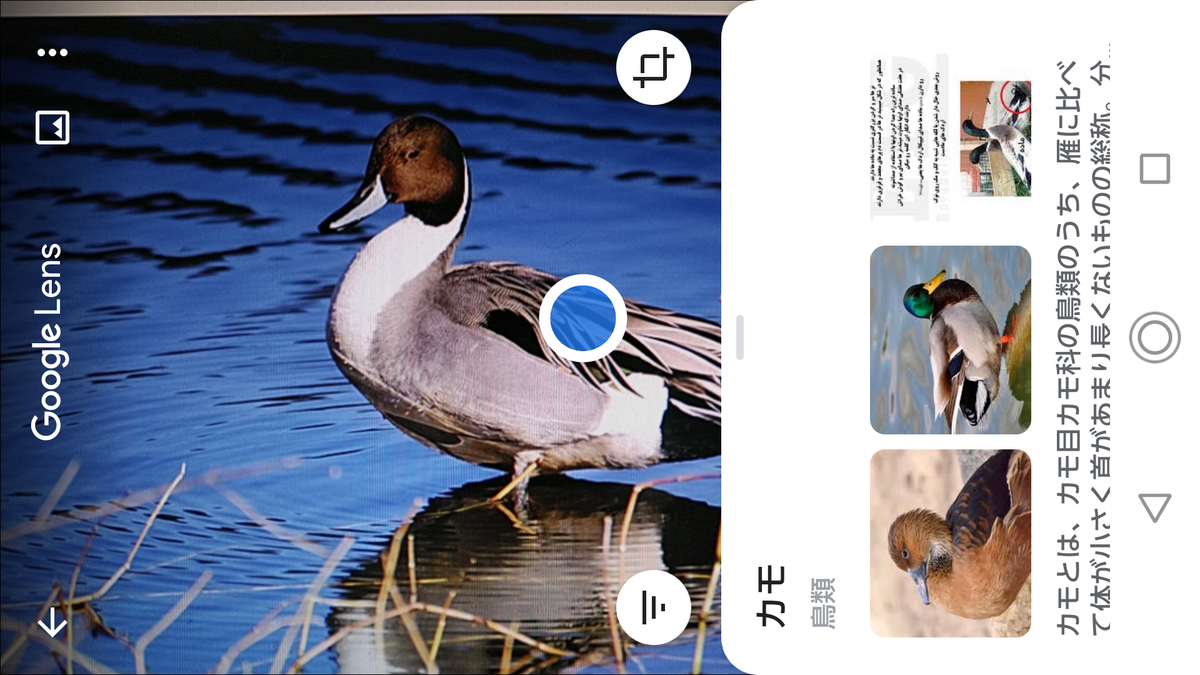 f:id:shigeo-t:20200627101052p:plain f:id:shigeo-t:20200627101052p:plain