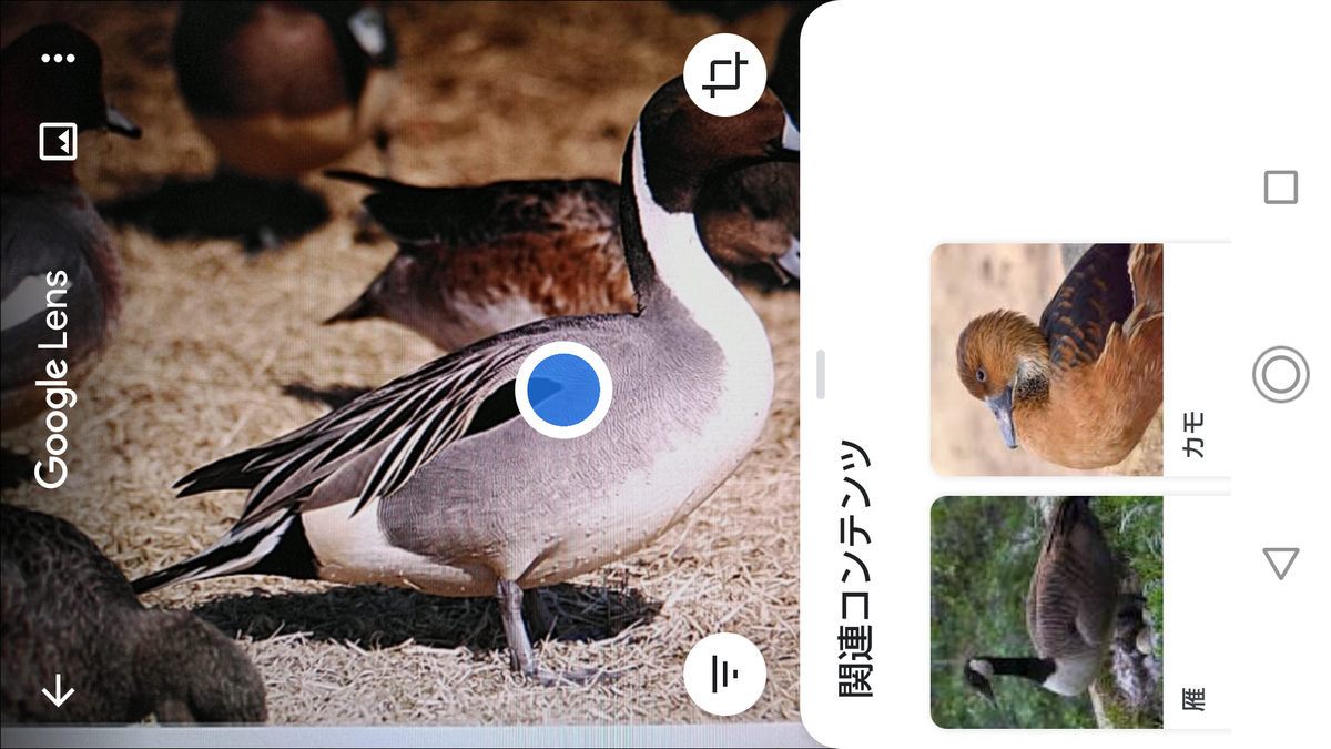 f:id:shigeo-t:20200627101136p:plain f:id:shigeo-t:20200627101136p:plain