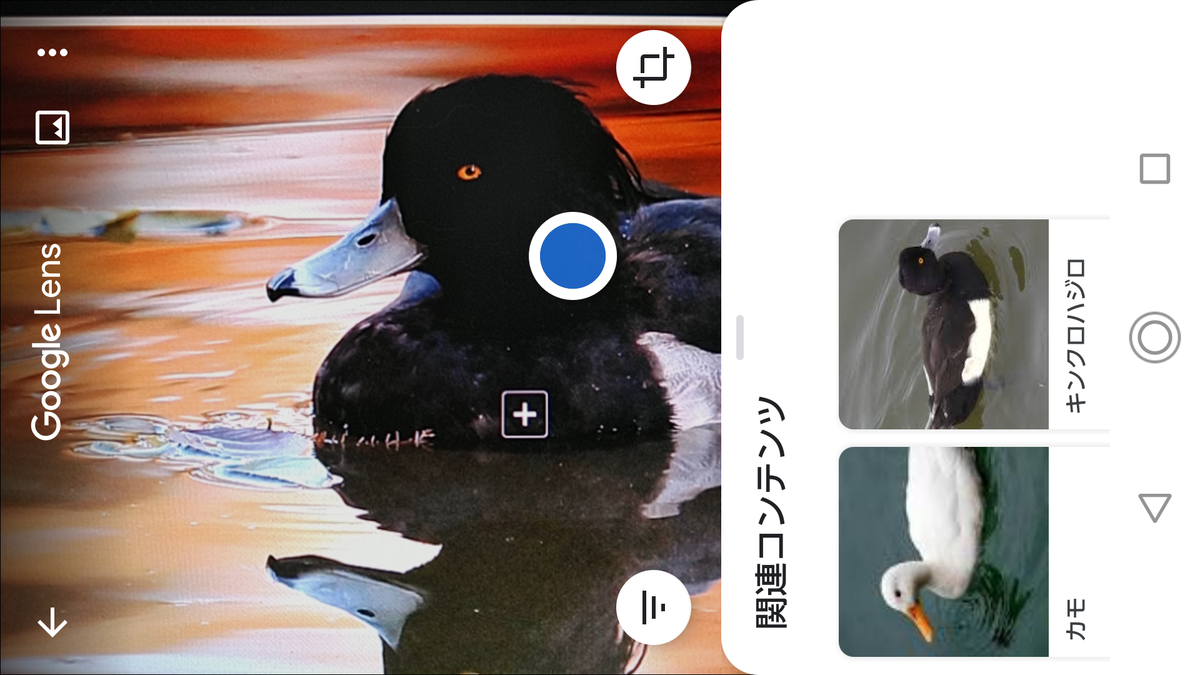 f:id:shigeo-t:20200627101209p:plain f:id:shigeo-t:20200627101209p:plain