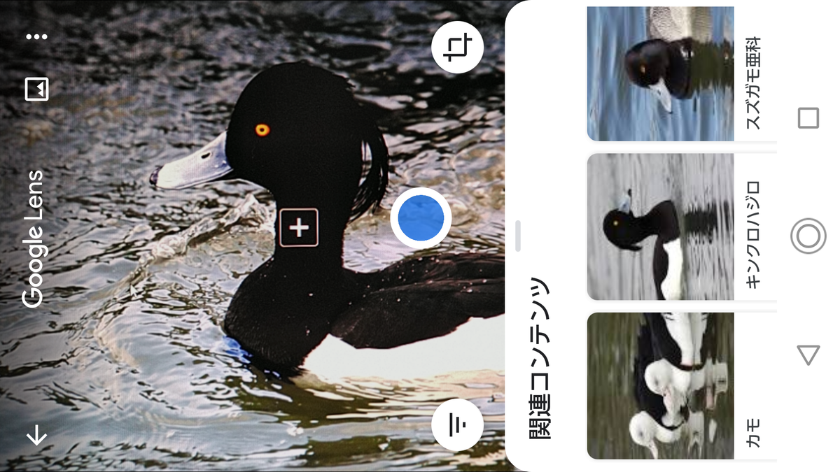 f:id:shigeo-t:20200627101234p:plain f:id:shigeo-t:20200627101234p:plain