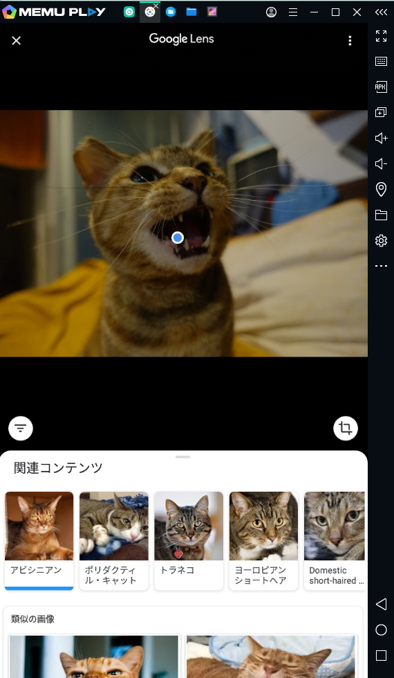 f:id:shigeo-t:20200628084529p:plain f:id:shigeo-t:20200628084529p:plain