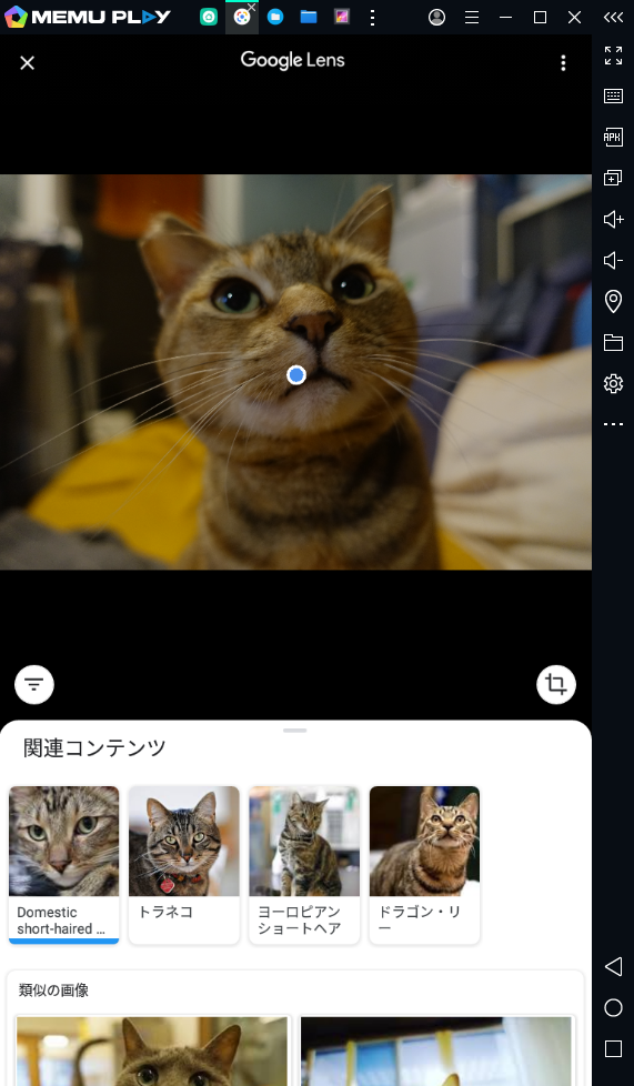 f:id:shigeo-t:20200628084655p:plain f:id:shigeo-t:20200628084655p:plain