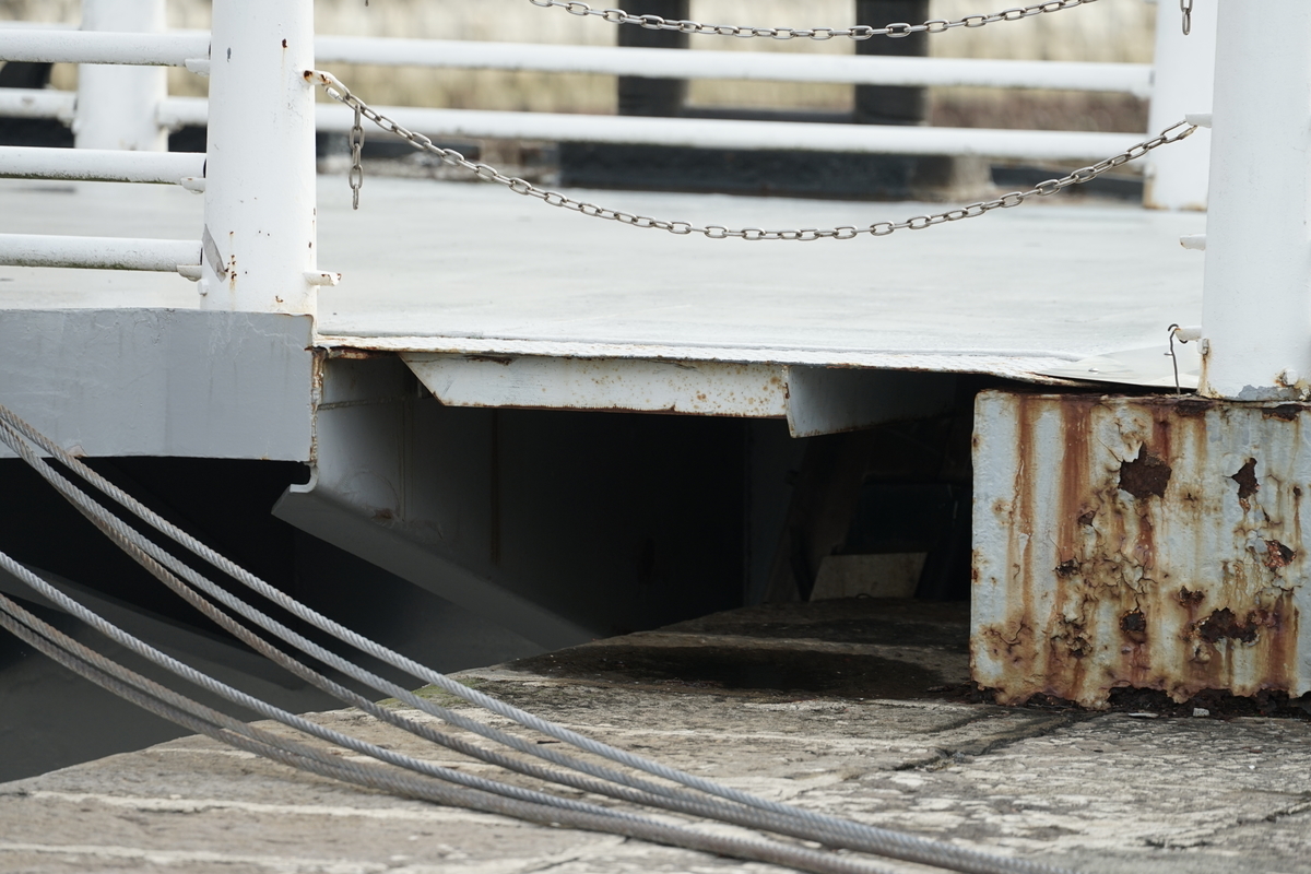 f:id:shigeo-t:20200702105321j:plain f:id:shigeo-t:20200702105321j:plain