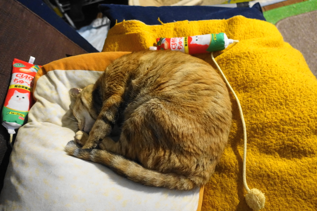 f:id:shigeo-t:20200720104756j:plain f:id:shigeo-t:20200720104756j:plain