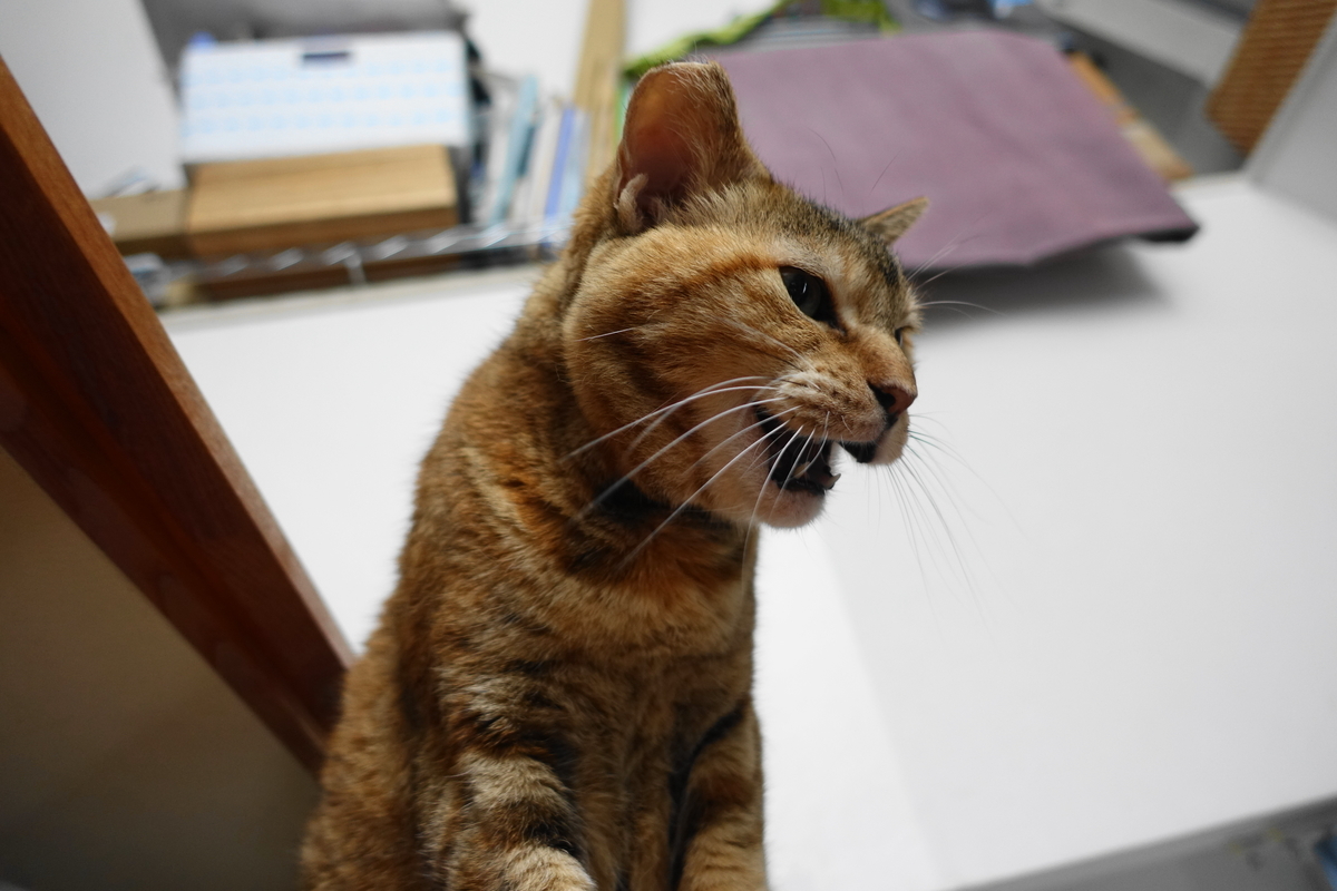 f:id:shigeo-t:20200721092818j:plain