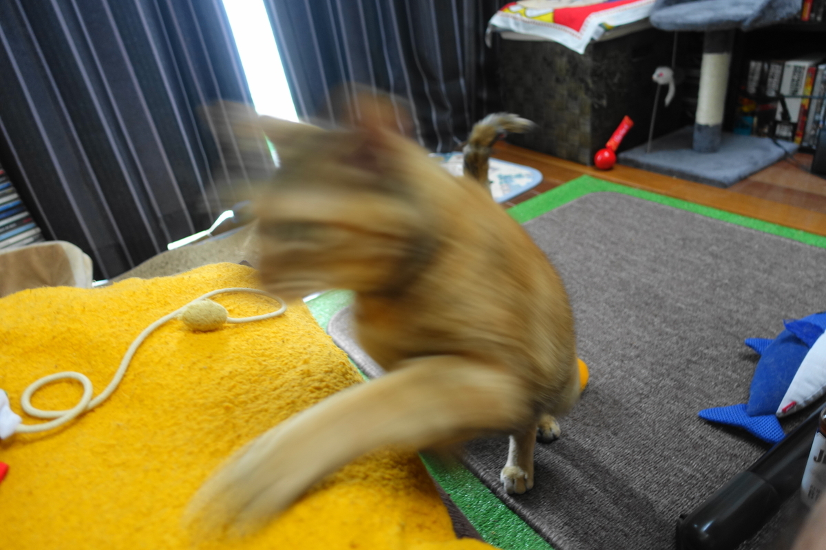 f:id:shigeo-t:20200807085109j:plain