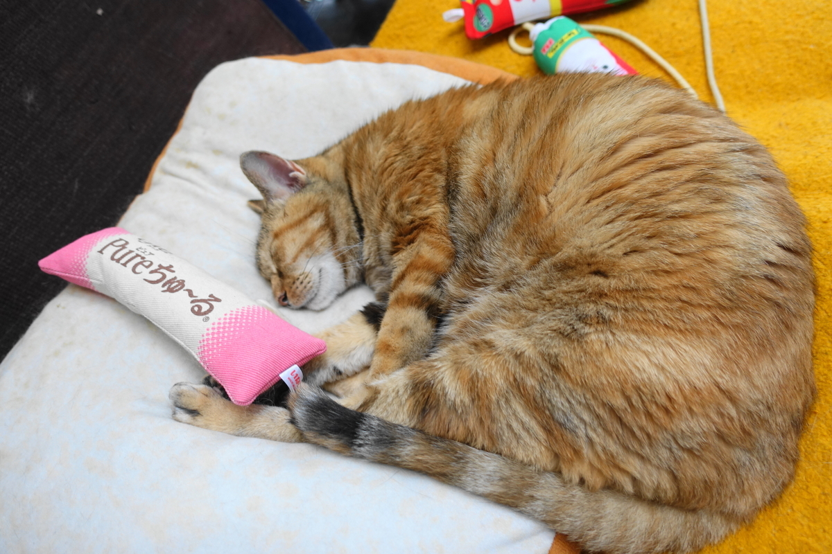 f:id:shigeo-t:20200807085151j:plain