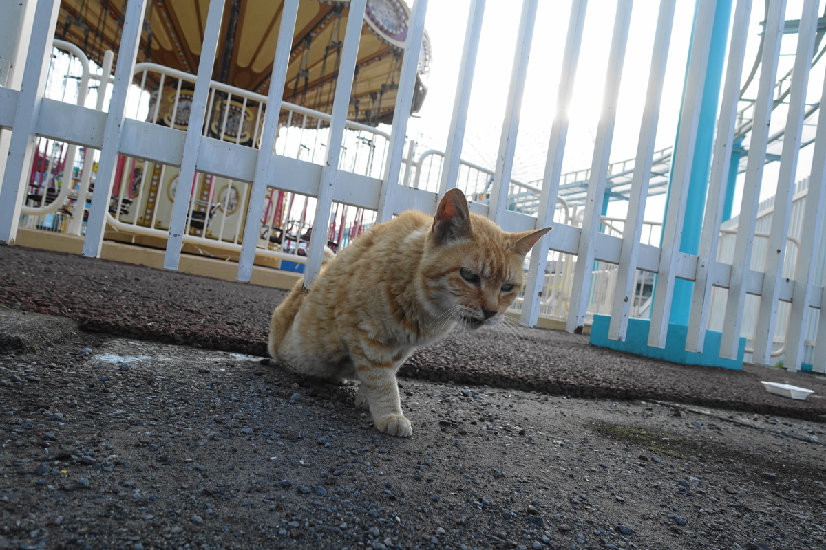 f:id:shigeo-t:20200809105831j:plain f:id:shigeo-t:20200809105831j:plain