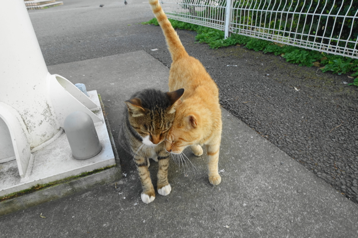 f:id:shigeo-t:20200810093757j:plain