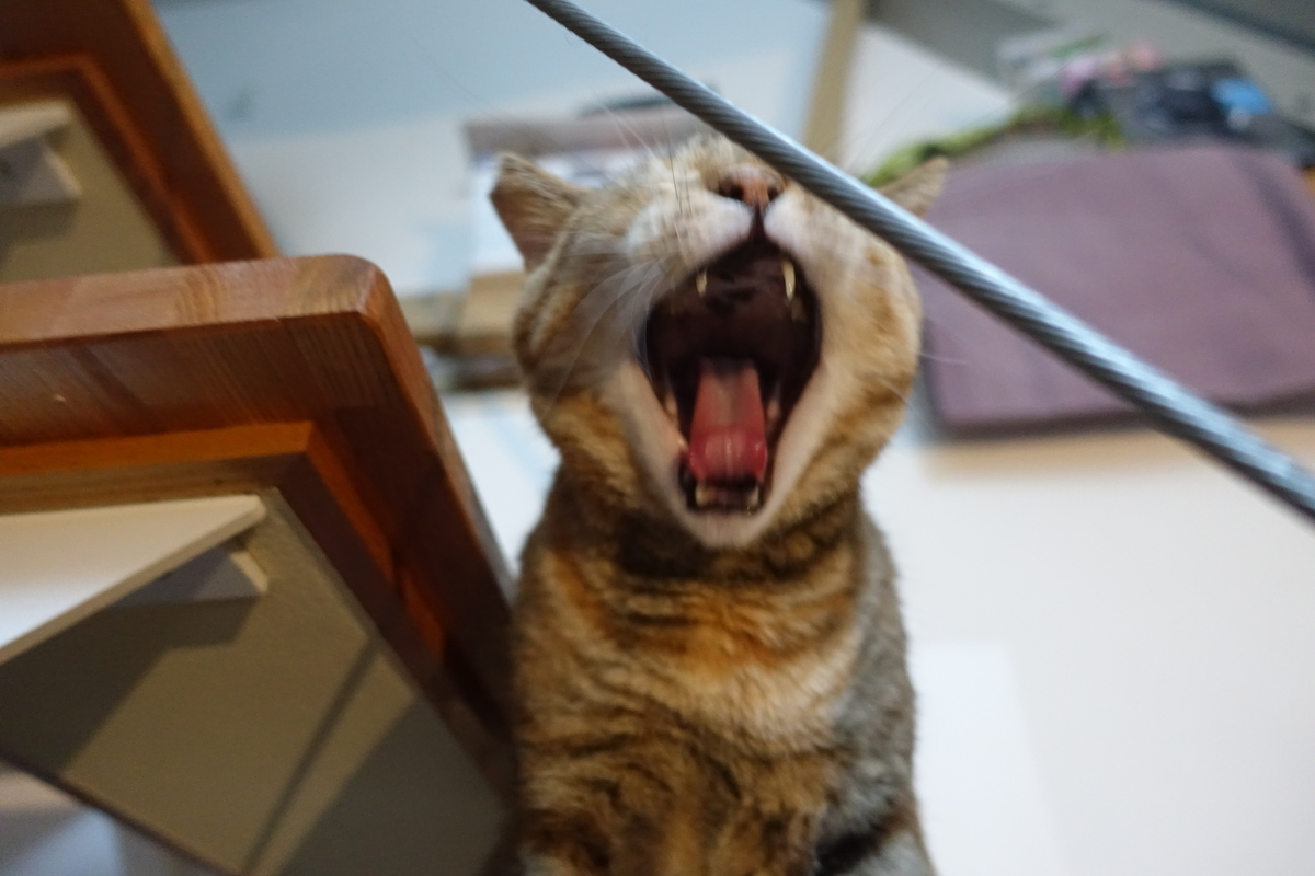 f:id:shigeo-t:20200820095515j:plain