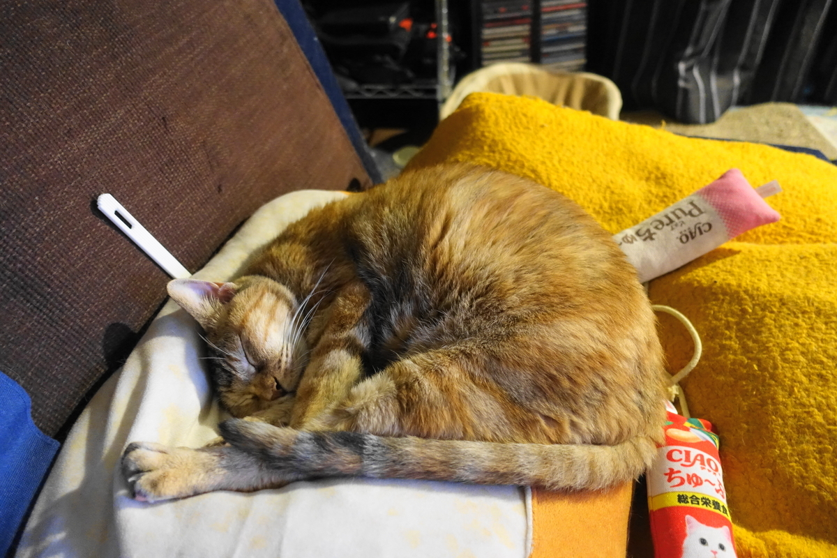 f:id:shigeo-t:20200820095903j:plain