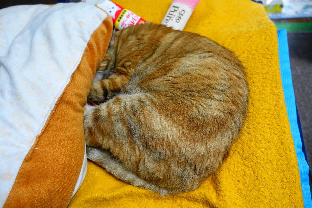 f:id:shigeo-t:20200820100020j:plain