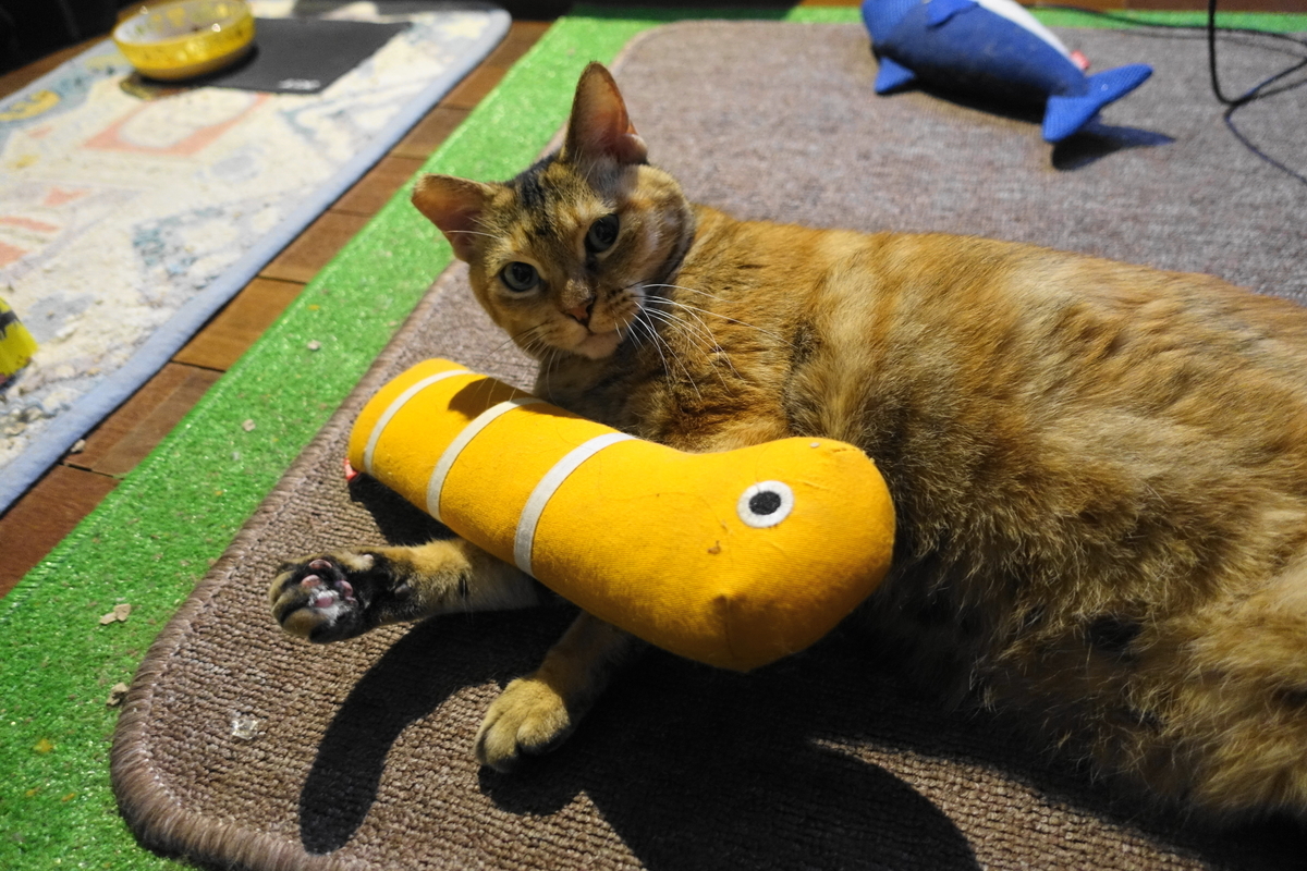 f:id:shigeo-t:20200820100945j:plain