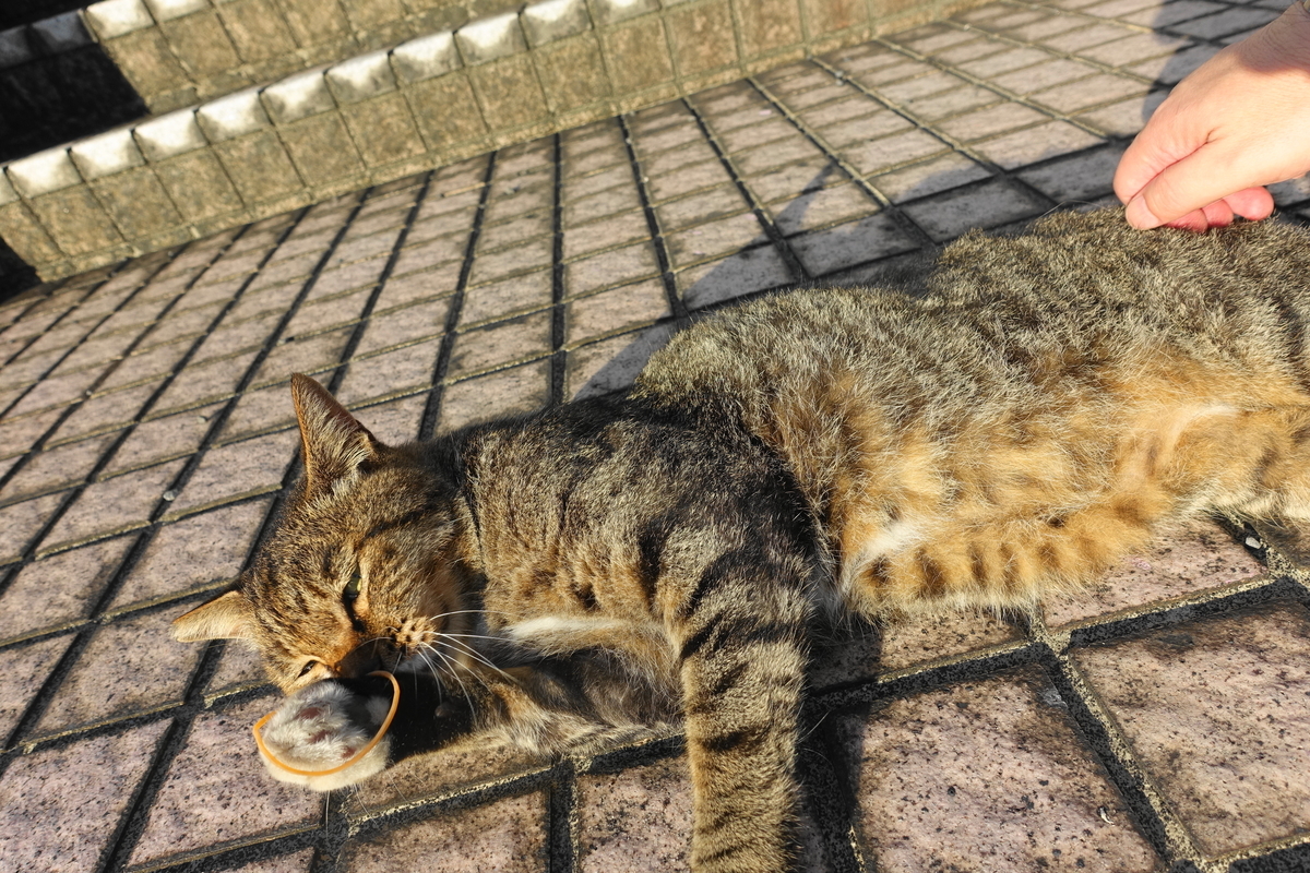 f:id:shigeo-t:20200831094224j:plain