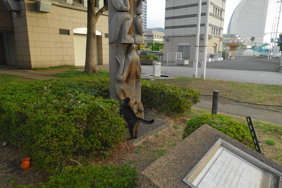 f:id:shigeo-t:20200831095745j:plain