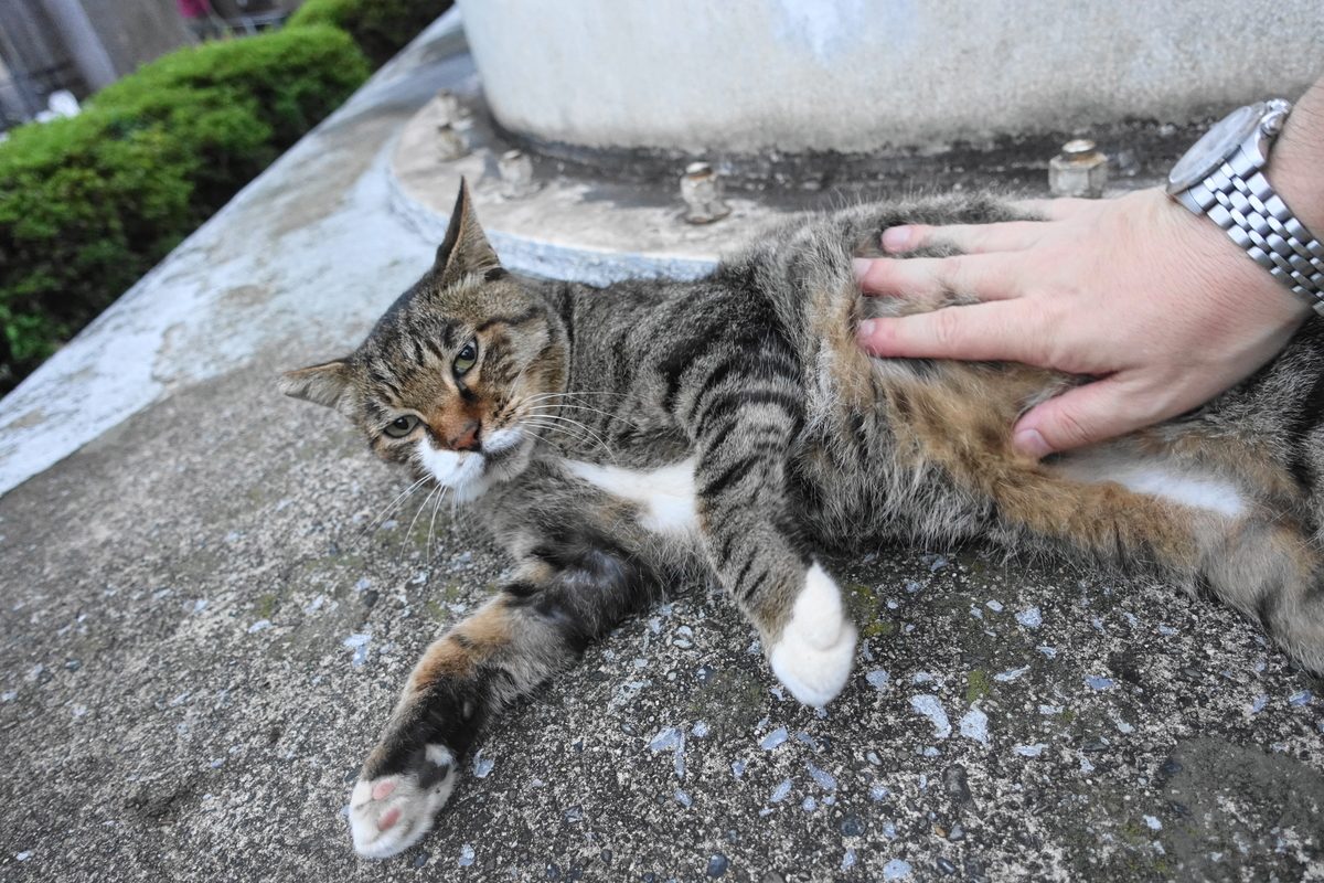 f:id:shigeo-t:20200909100407j:plain