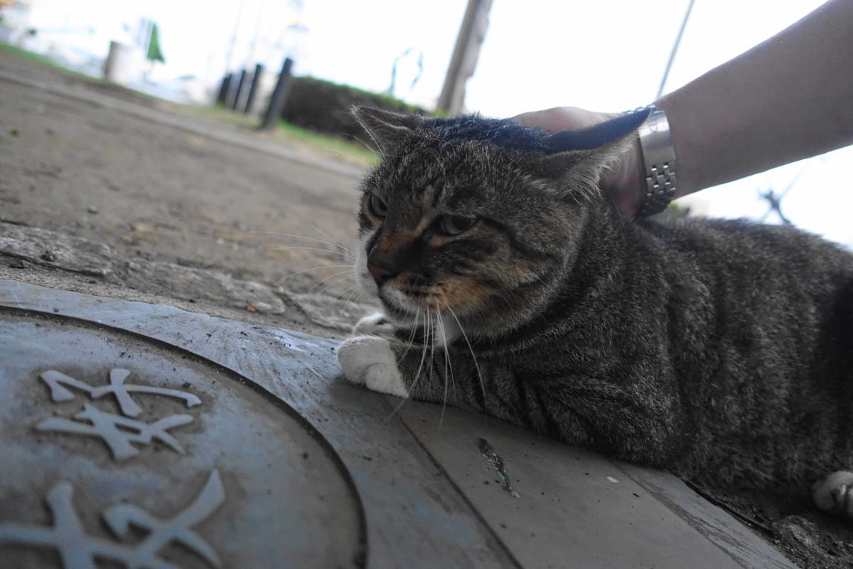 f:id:shigeo-t:20200909102034j:plain