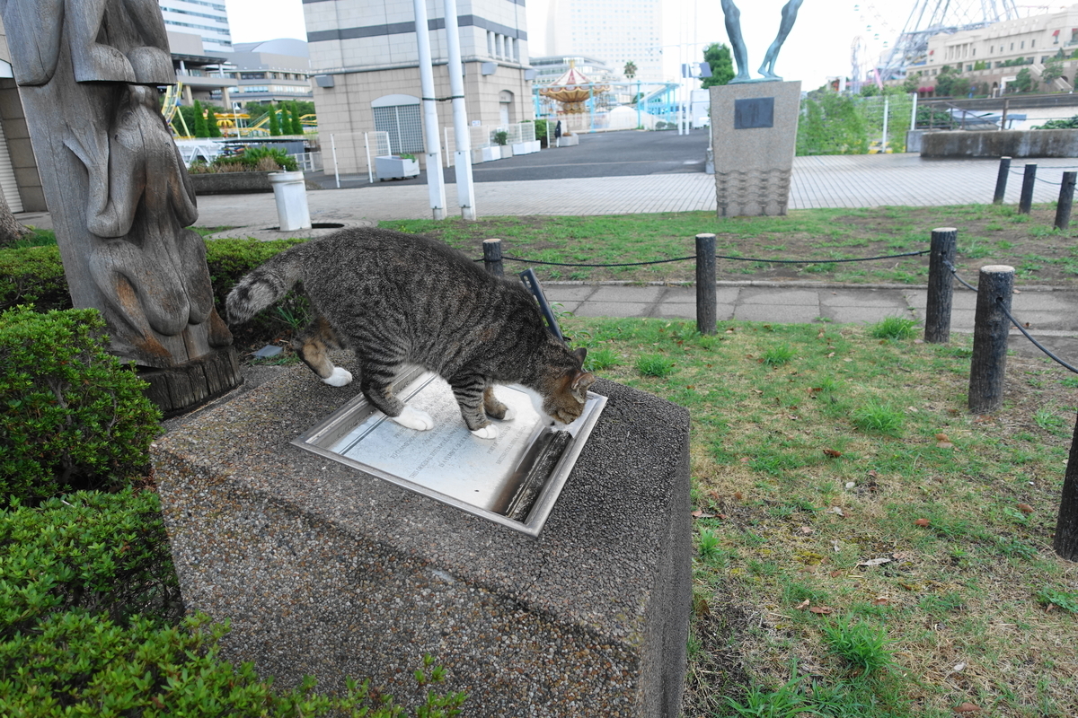 f:id:shigeo-t:20200913102821j:plain f:id:shigeo-t:20200913102821j:plain