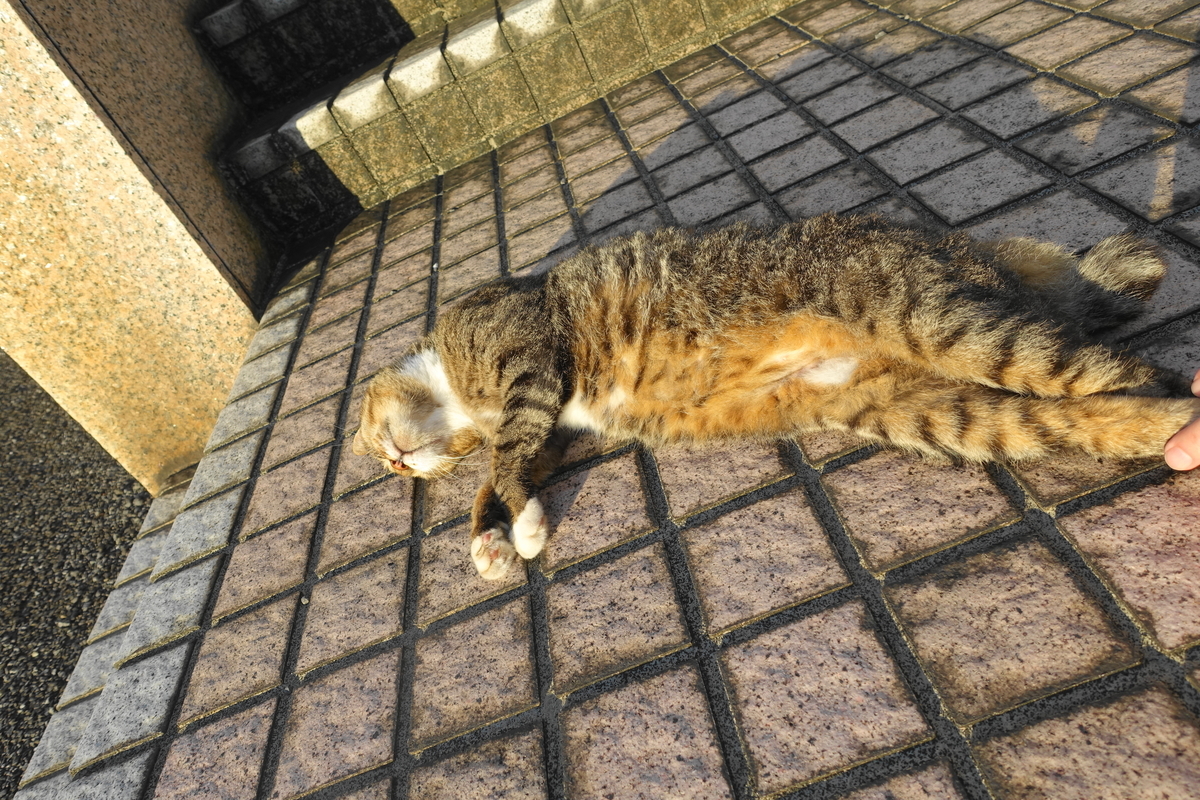 f:id:shigeo-t:20200916093521j:plain f:id:shigeo-t:20200916093521j:plain