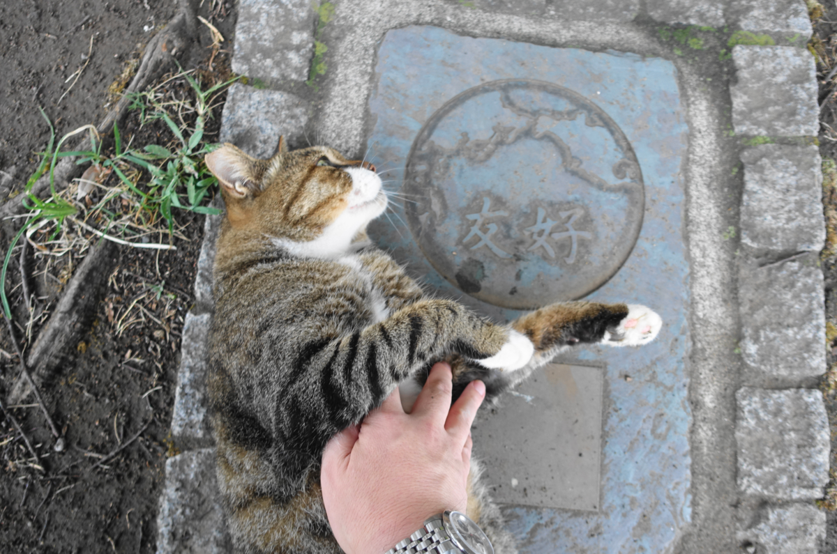 f:id:shigeo-t:20200916100257p:plain f:id:shigeo-t:20200916100257p:plain