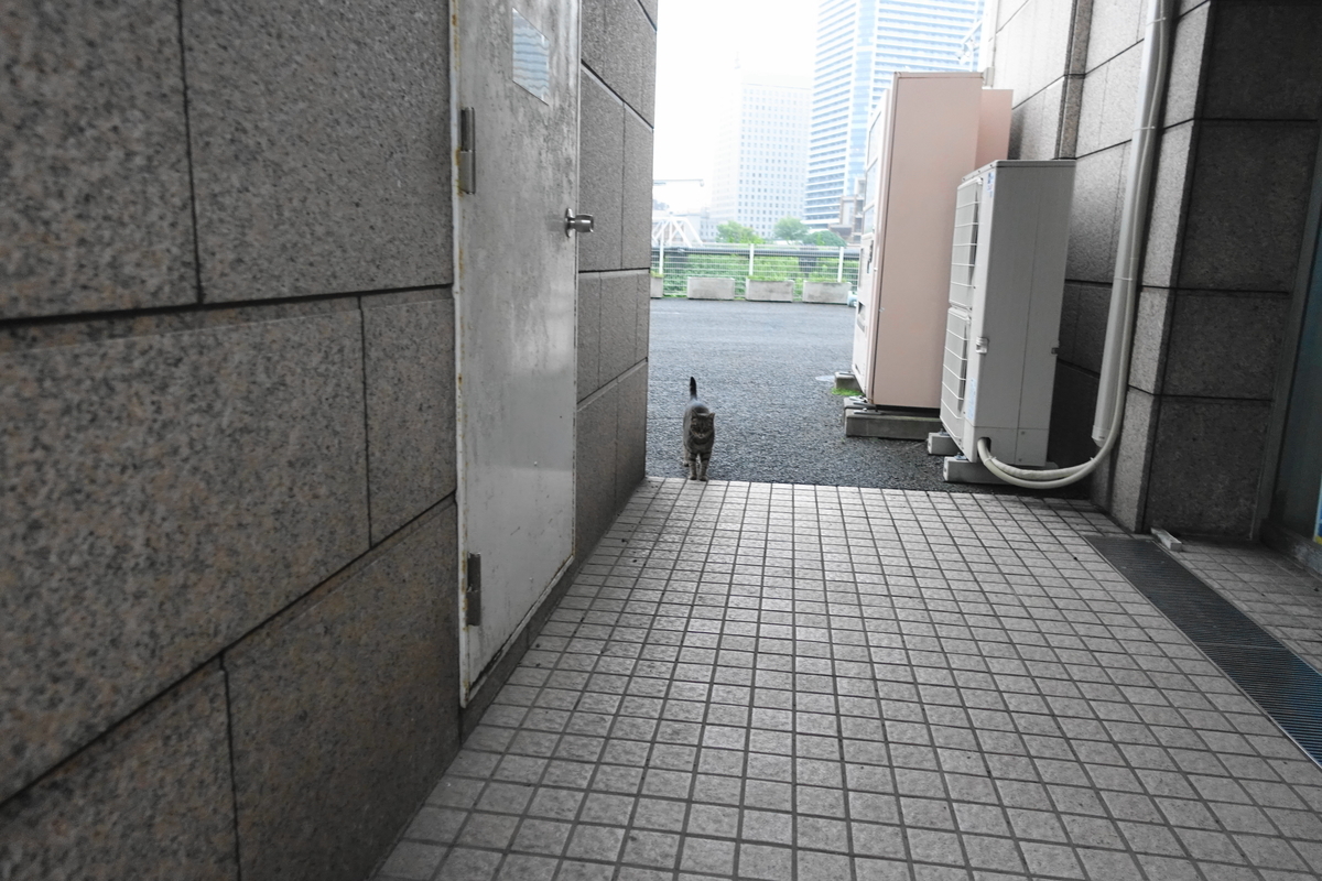 f:id:shigeo-t:20200919104107j:plain f:id:shigeo-t:20200919104107j:plain