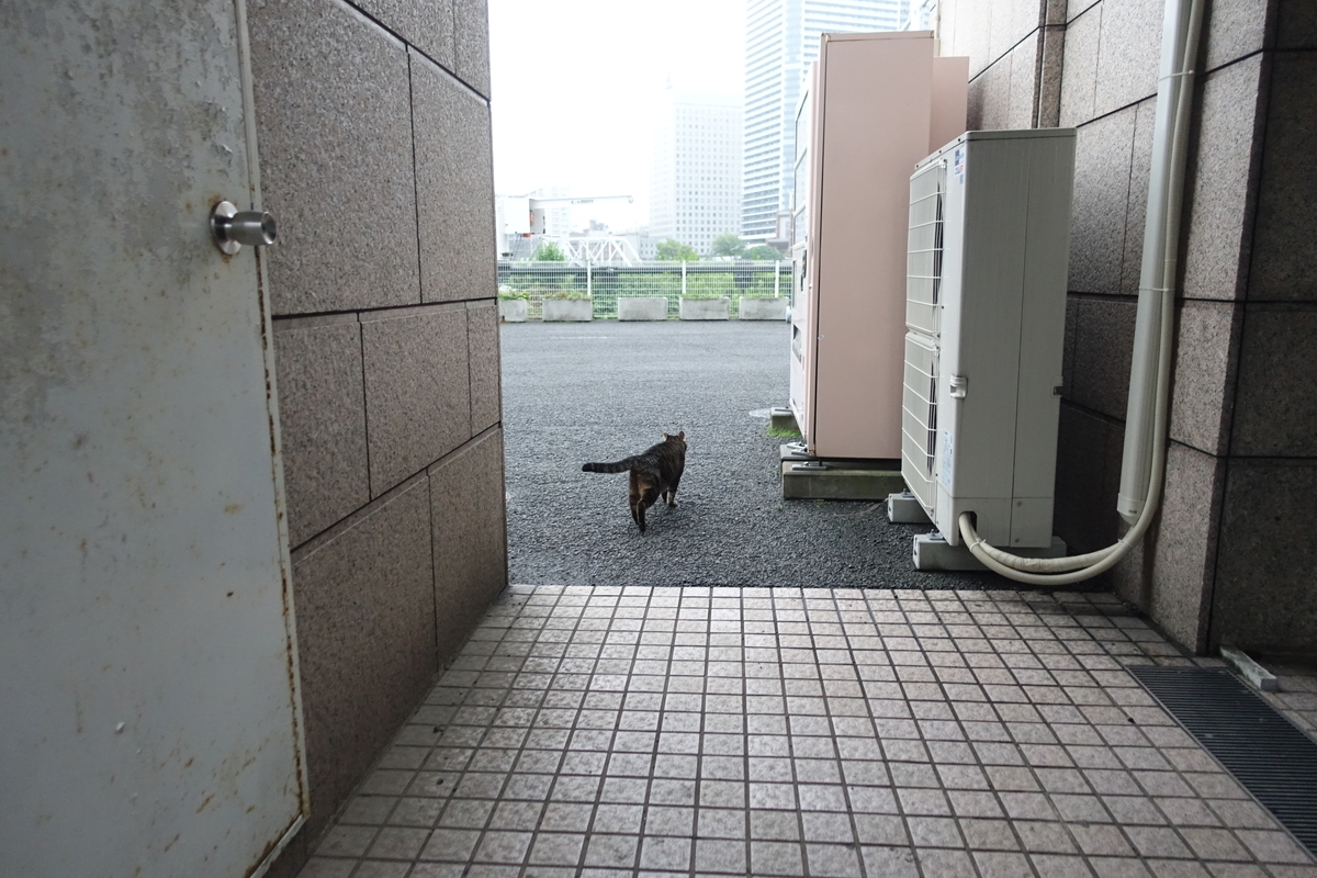 f:id:shigeo-t:20200919104130j:plain f:id:shigeo-t:20200919104130j:plain