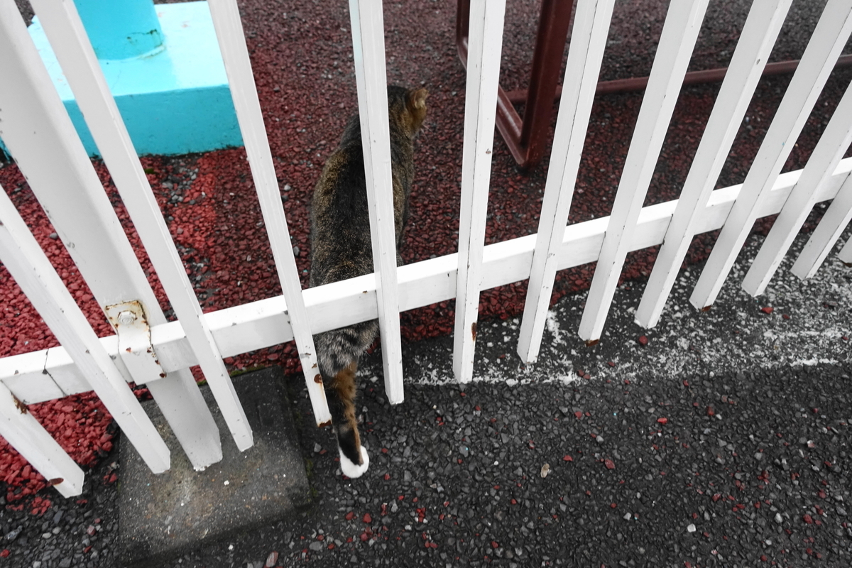 f:id:shigeo-t:20200919105059j:plain f:id:shigeo-t:20200919105059j:plain