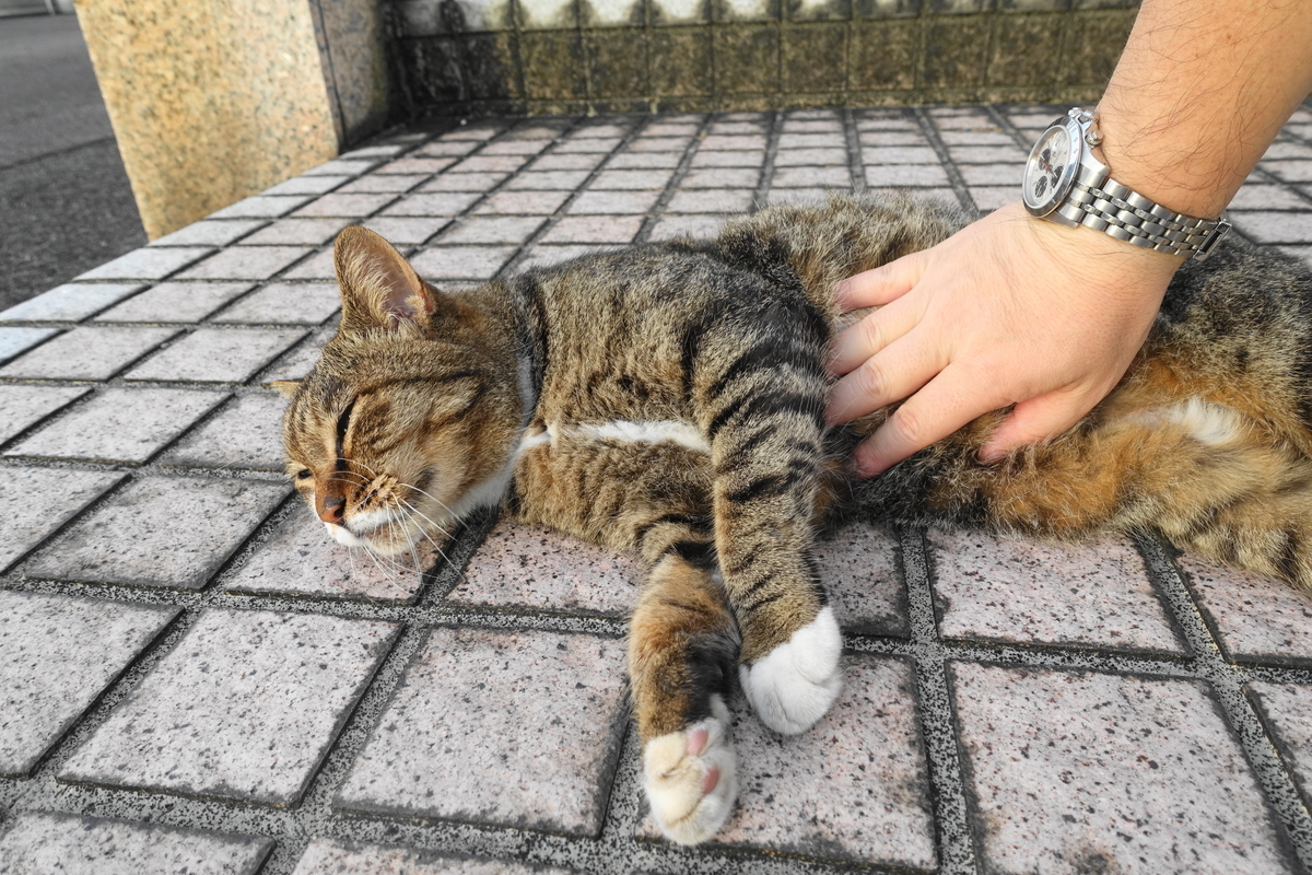 f:id:shigeo-t:20200926102641j:plain