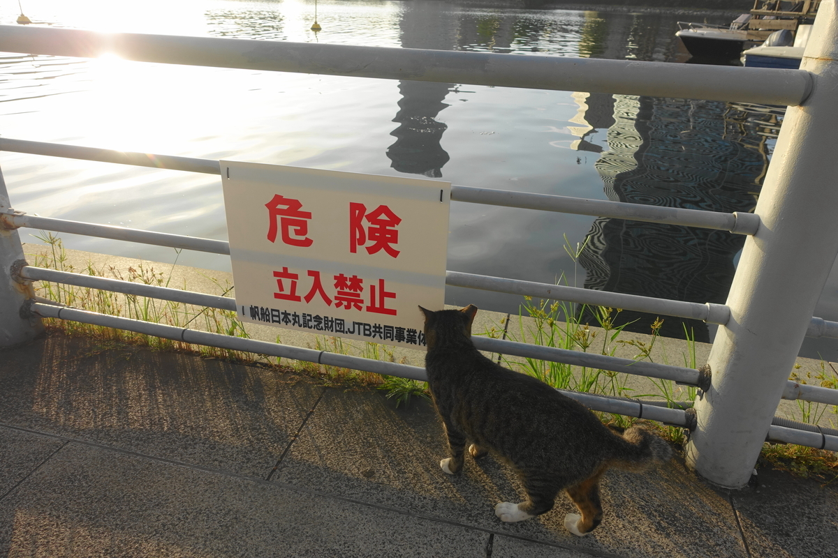 f:id:shigeo-t:20200926104055j:plain