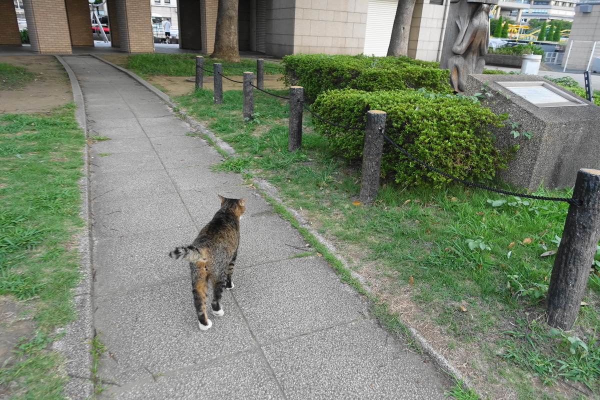 f:id:shigeo-t:20200928100013j:plain f:id:shigeo-t:20200928100013j:plain