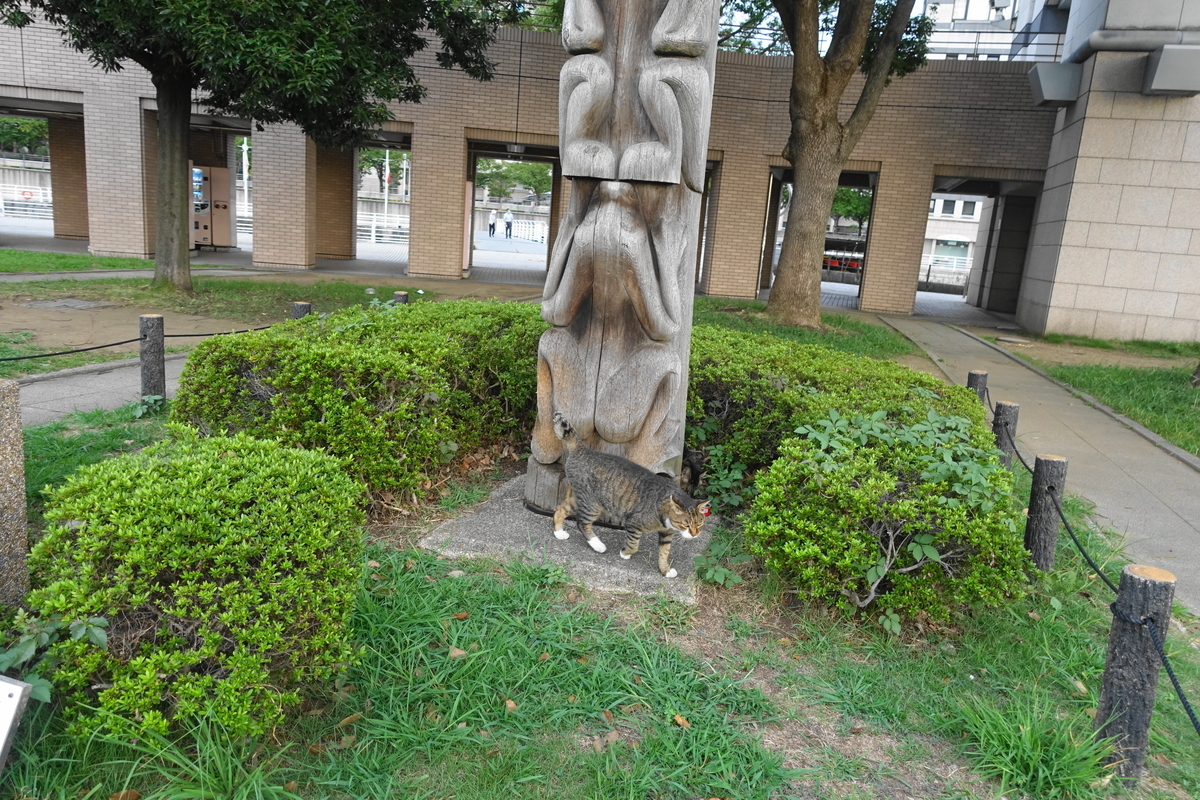 f:id:shigeo-t:20200928100043j:plain f:id:shigeo-t:20200928100043j:plain