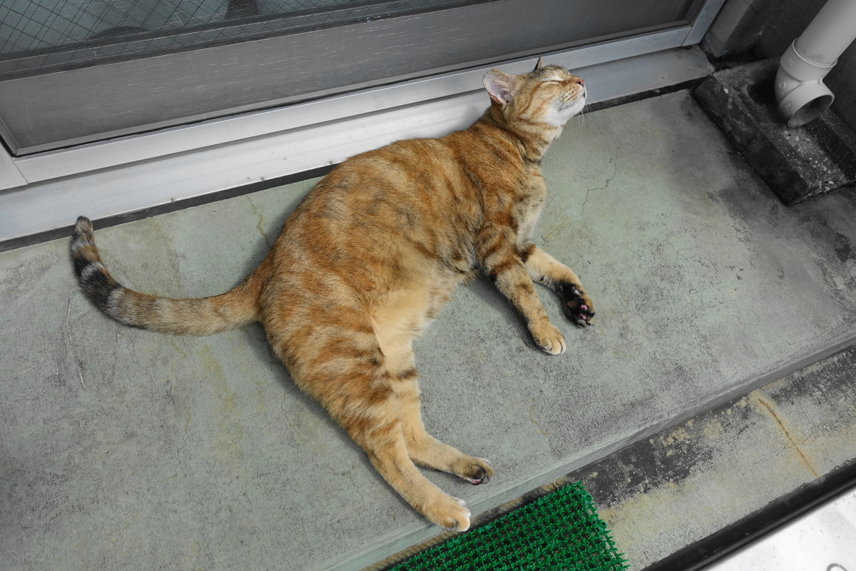 f:id:shigeo-t:20201008100258j:plain