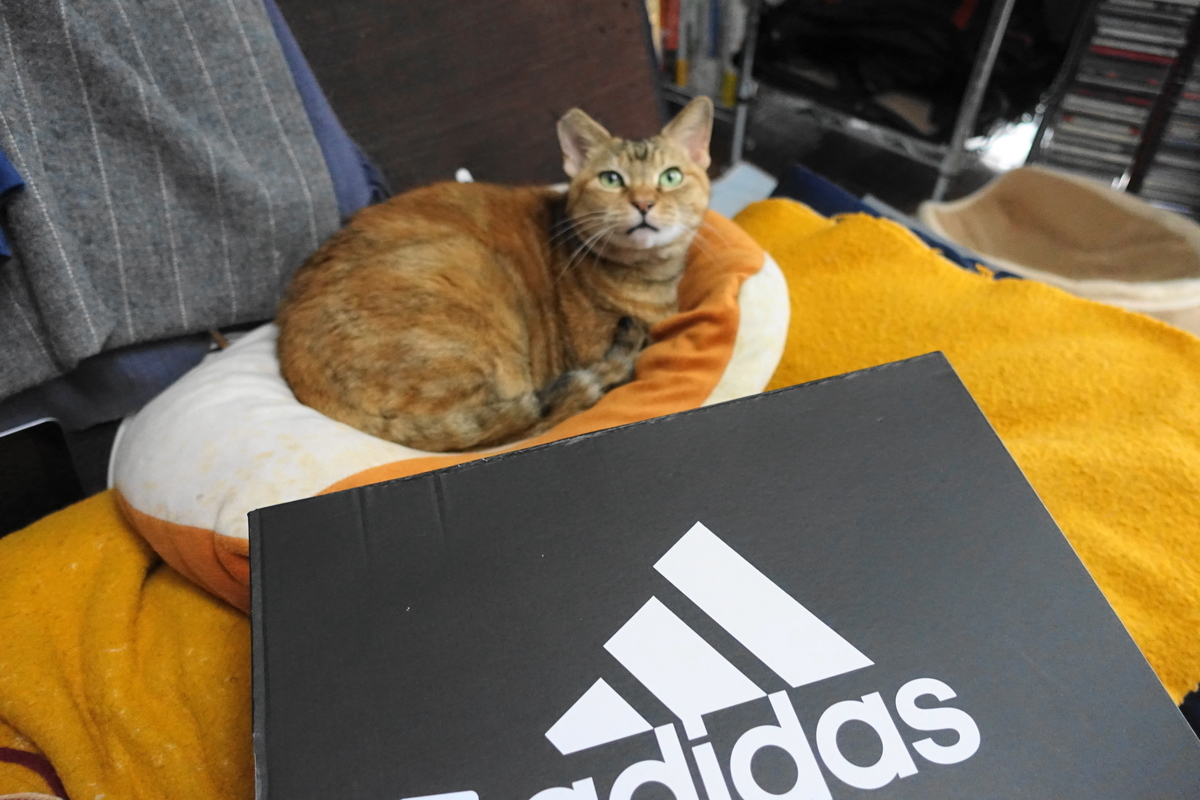 f:id:shigeo-t:20201019100018j:plain