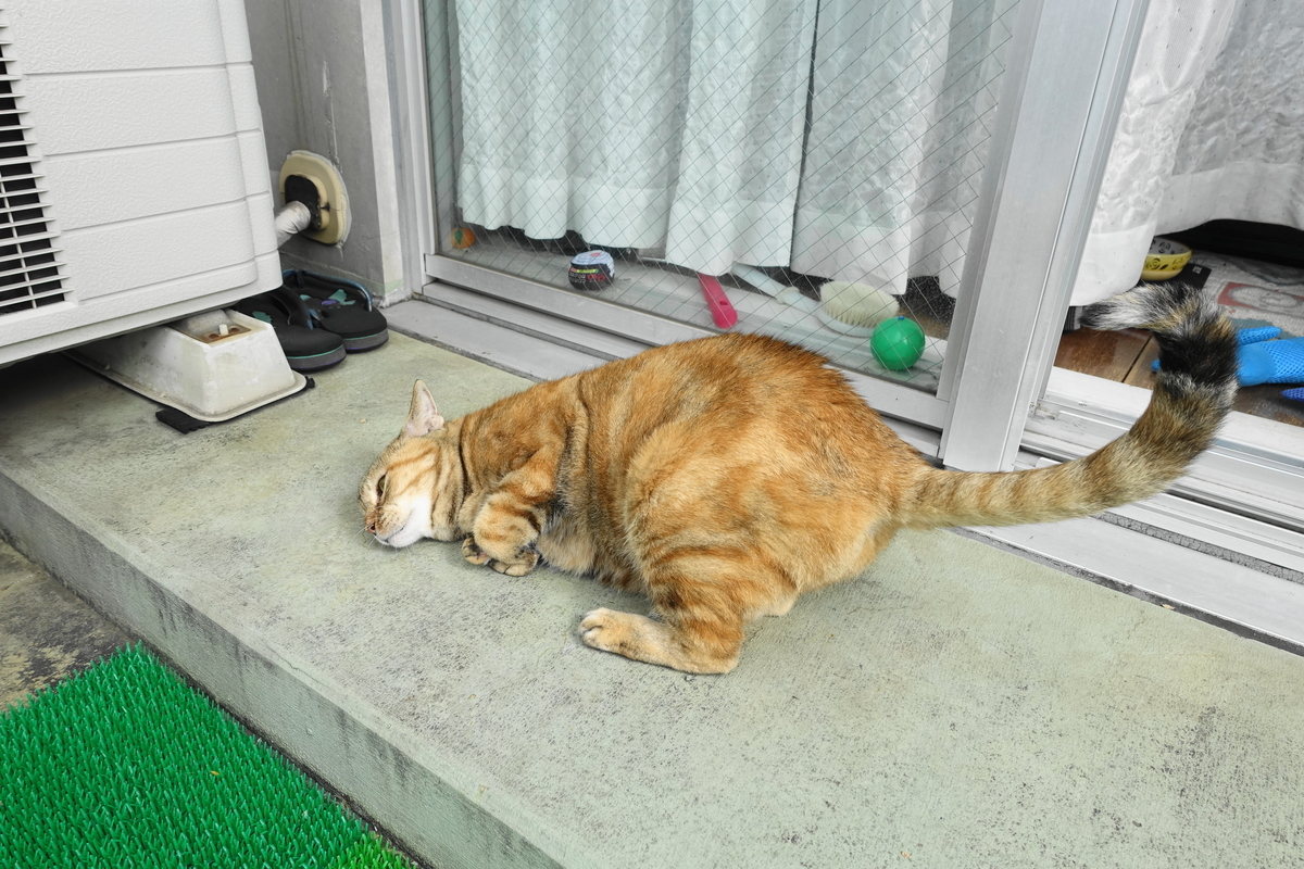 f:id:shigeo-t:20201020111101j:plain f:id:shigeo-t:20201020111101j:plain